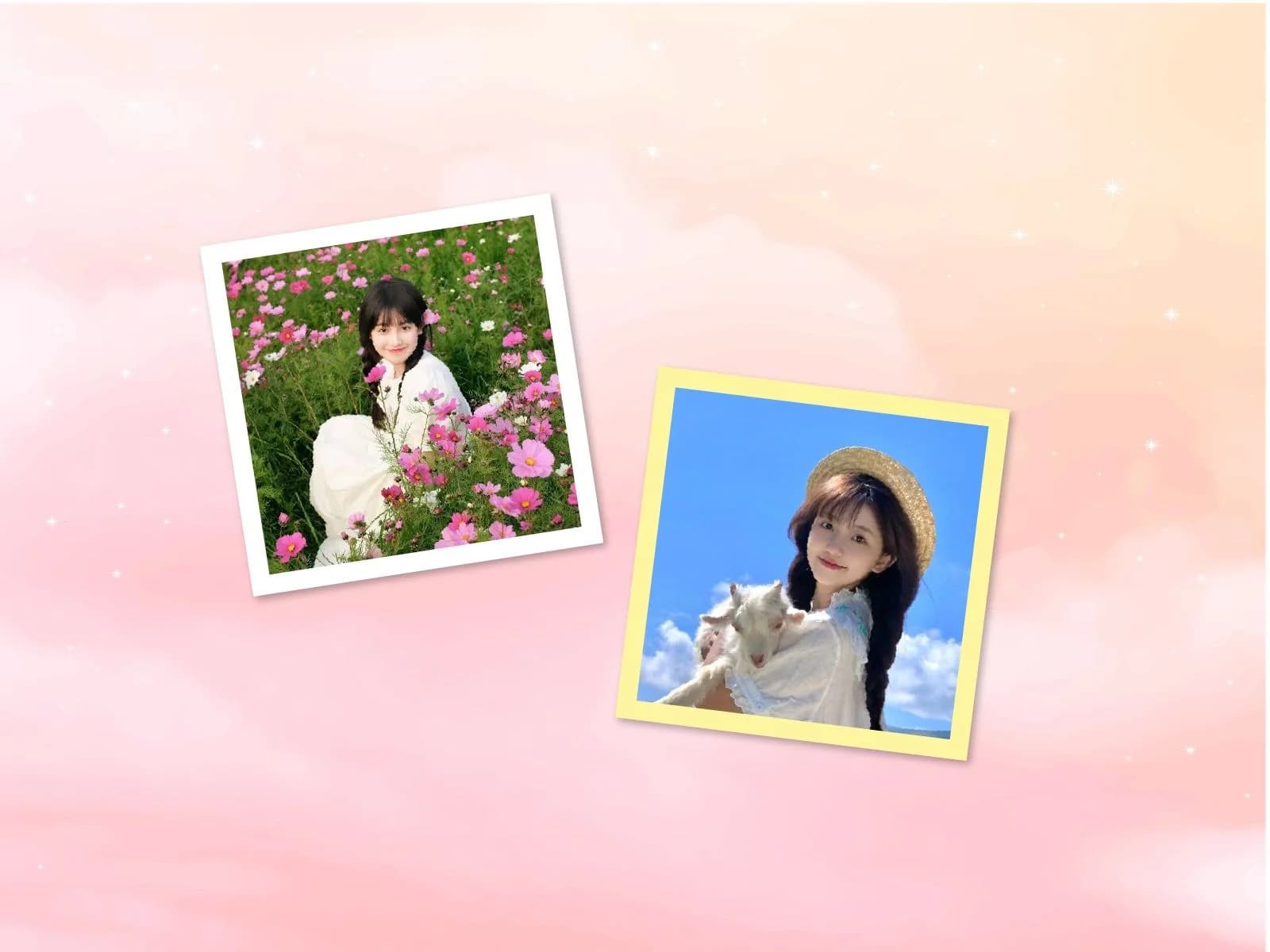 Ảnh Instagram Mini
