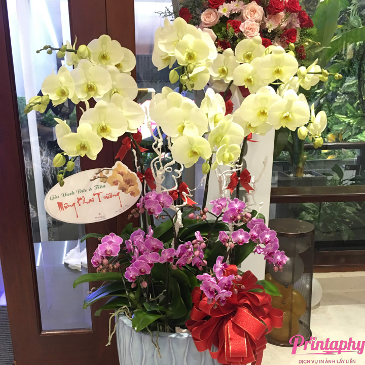 tổ chức lễ khai trương, tổ chức lễ khánh thành, tổ chức tiệc khai trương, tổ chức tiệc khánh thành với dịch vụ in ảnh lấy liền Printaphy Photobooth