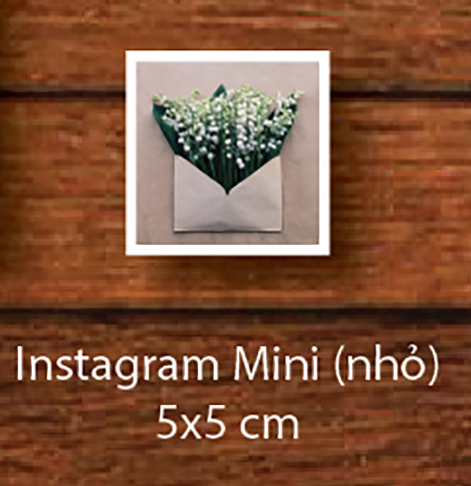 Instagram Mini