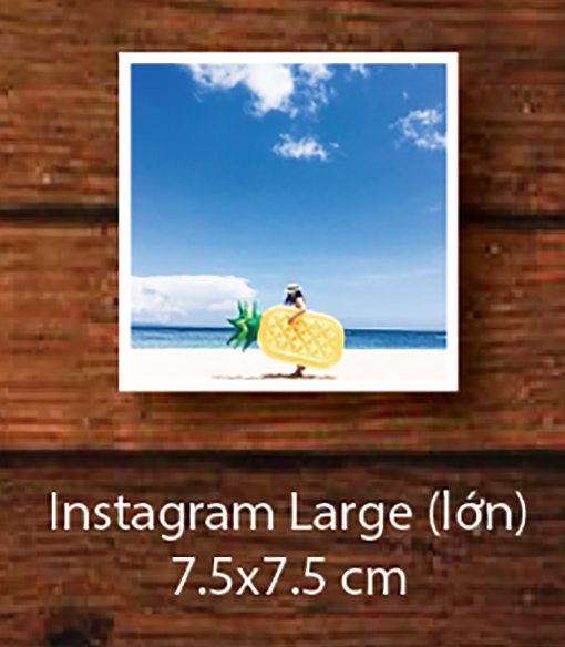 Instagram Large